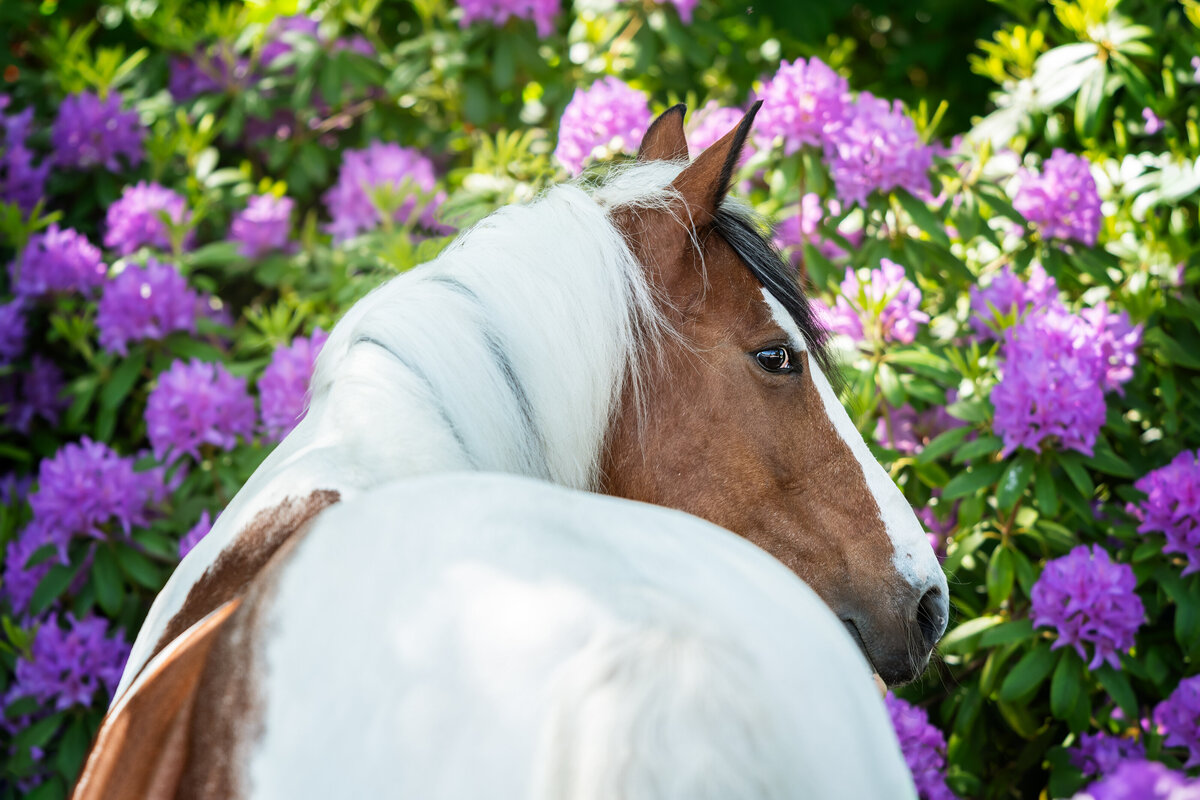 Miep_26052023054