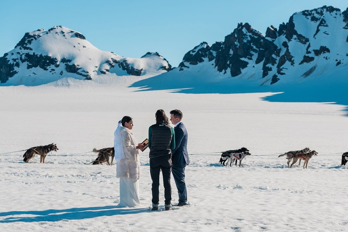 A  row of huskys on a harness line for a dogsled are visible behind the bride and groom and officiant, as they exchange their vows during a sled dog ride on their luxury Alaska Glacier Eloement.  Behind them aare snow capped mountains  emerging out of a snowy glacier field, bright blue skies around them with with no clouds in the sky. 