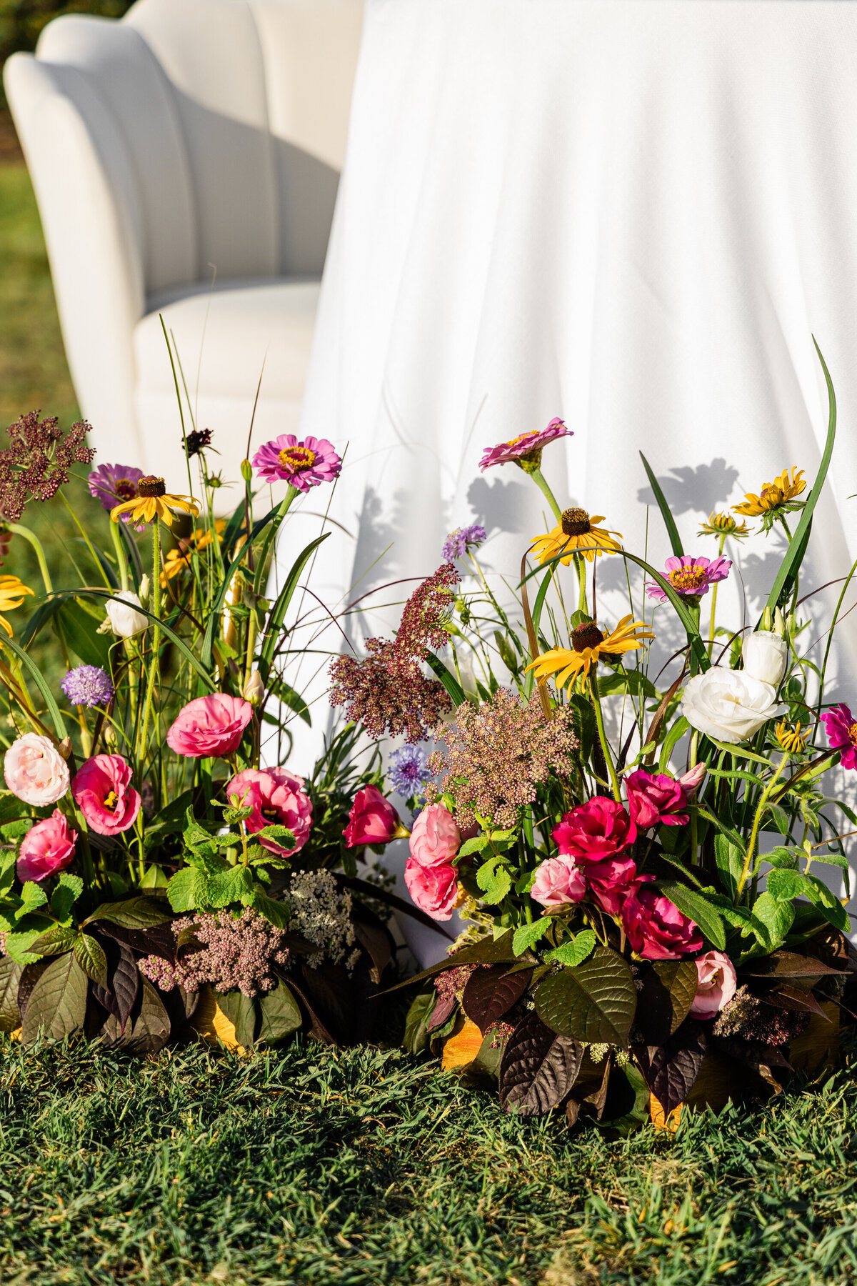 pink yellow and white wildflowers against white backdrop