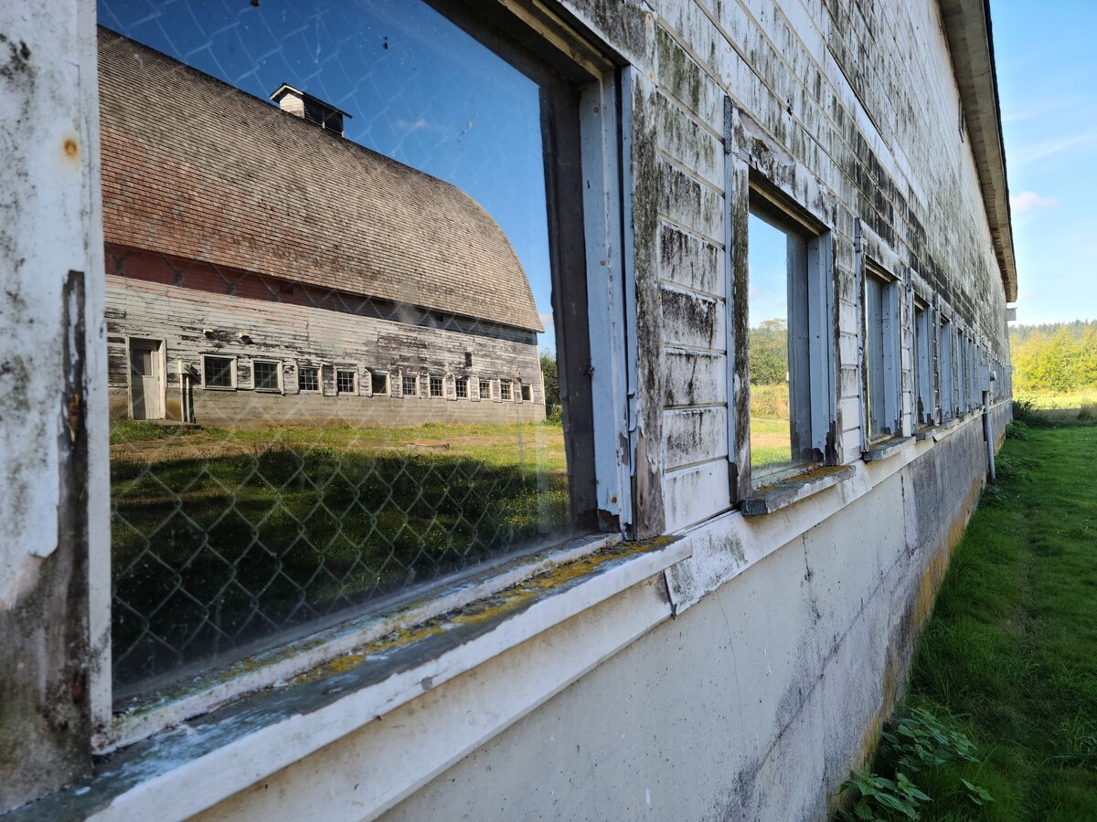 better barn reflect