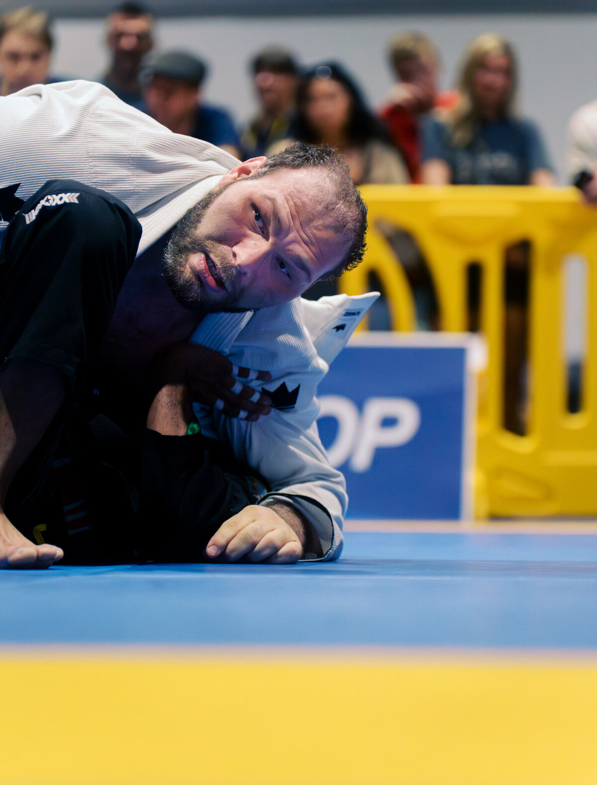 pnw-athlete-jiu-jitsu-photography-ibjjf-20