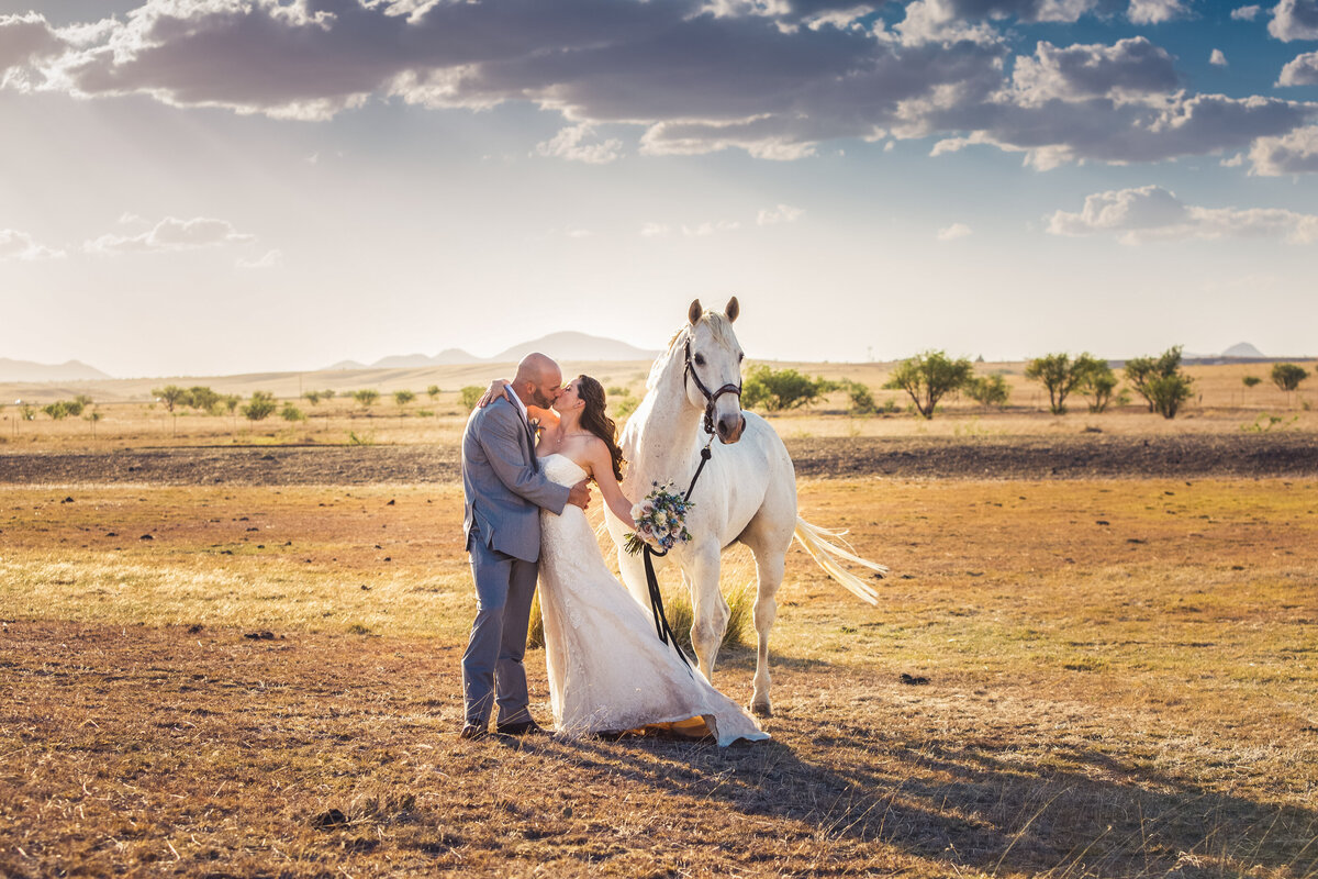 bride and groom kissing with a tall white horse behind them