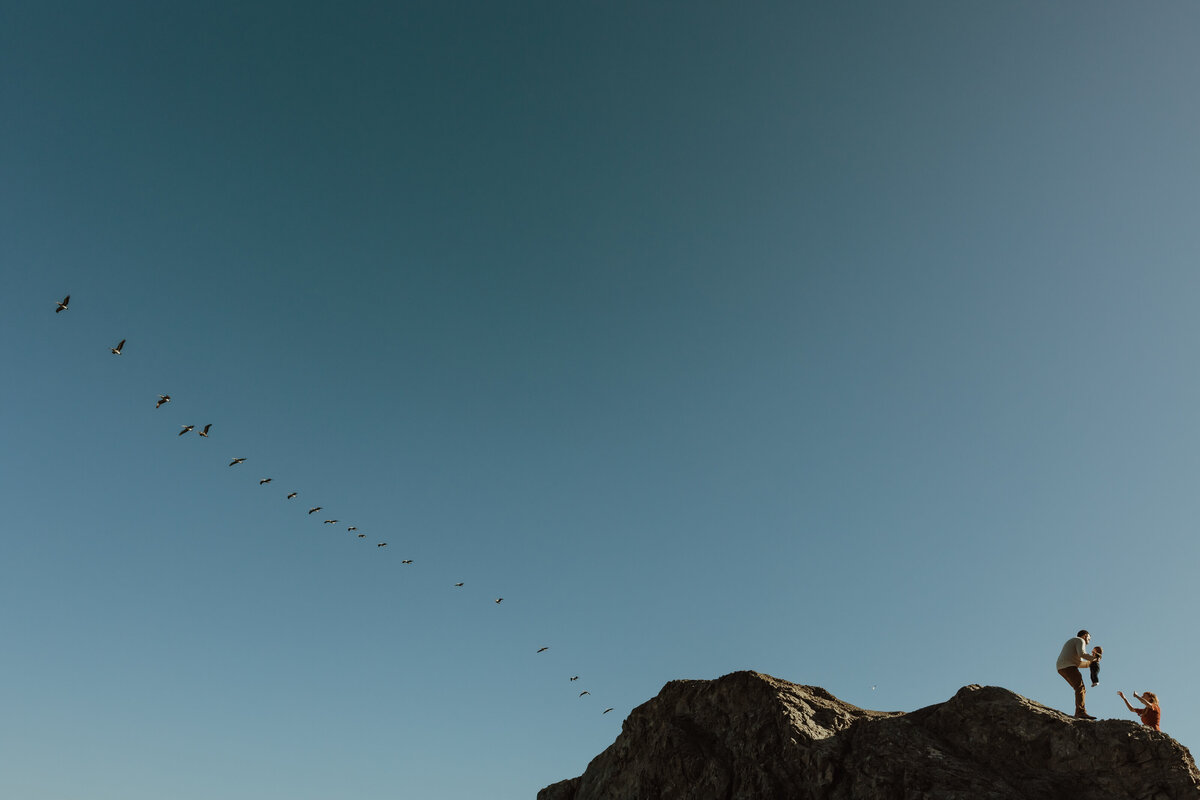 Dramatic environmental portrait of parents passing baby and pelicans flying in sky