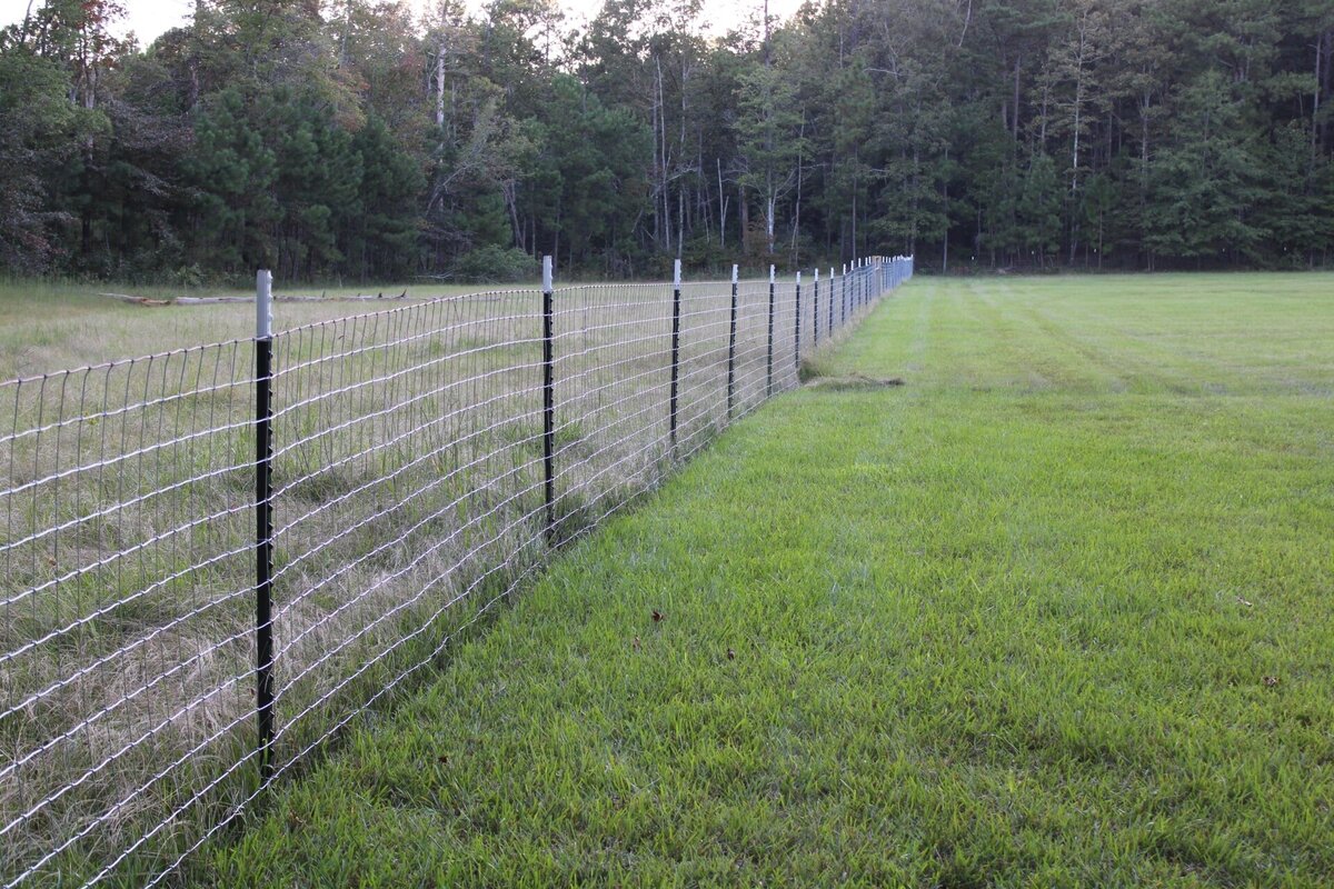 wire-fencing-in-green-grass