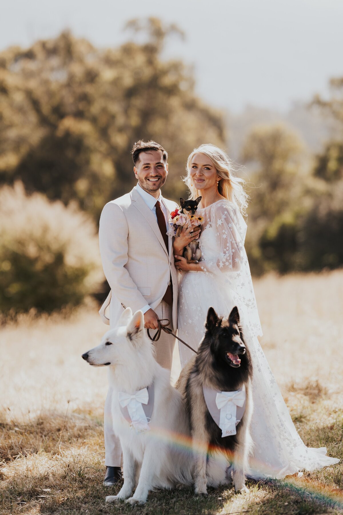 dogs-at-weddings-LoveWilder1