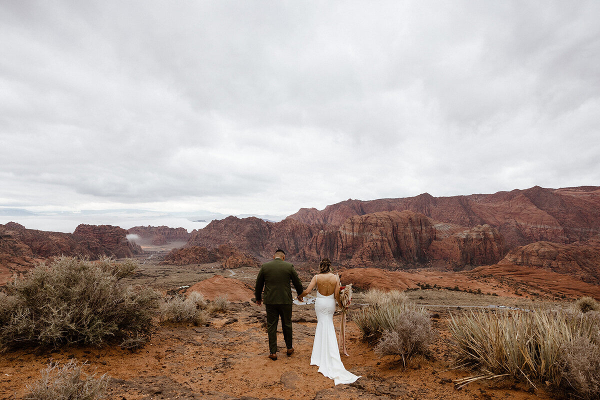 ZionSnowCanyon-dallinhassard-3036