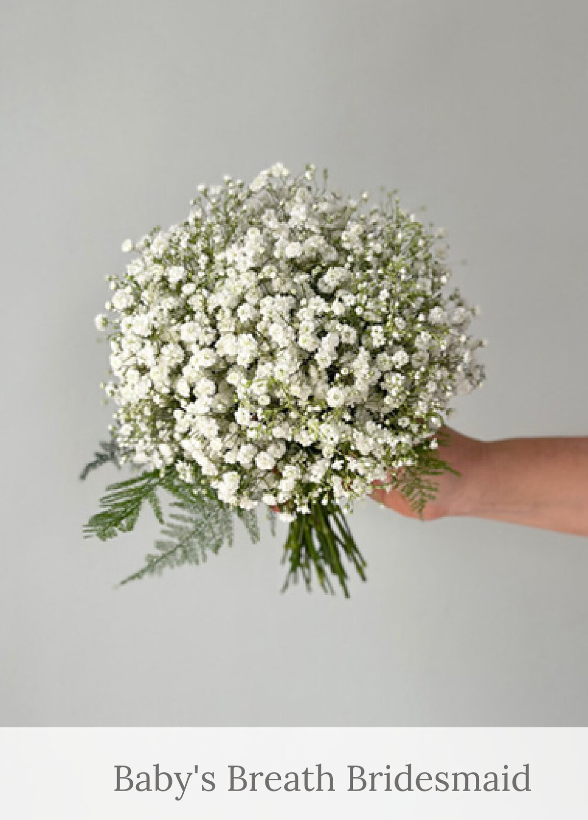 Baby's Breath