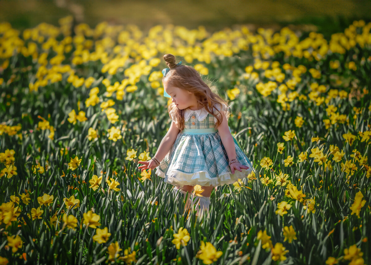 Raleigh-family-photographer-11