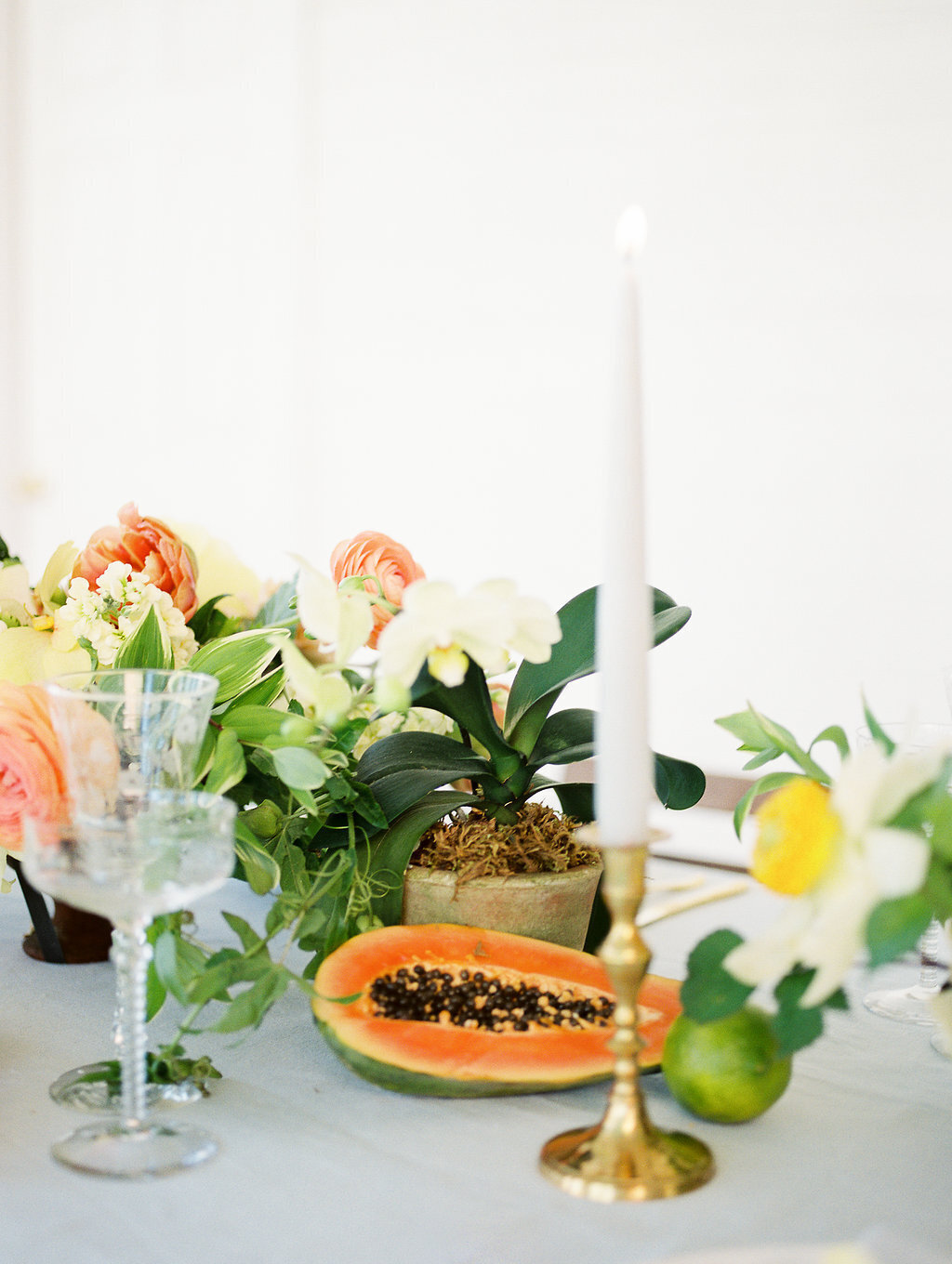 FrenchGardenBrieThomason-172