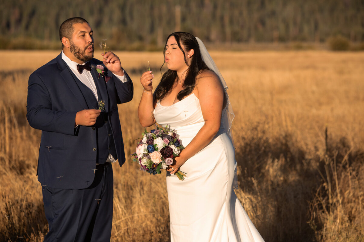 Bride and groom blowing dandelions