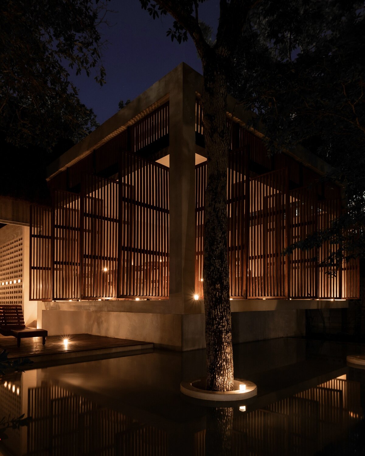 Palms Real Estate Group - Jungle Keva Tulum3