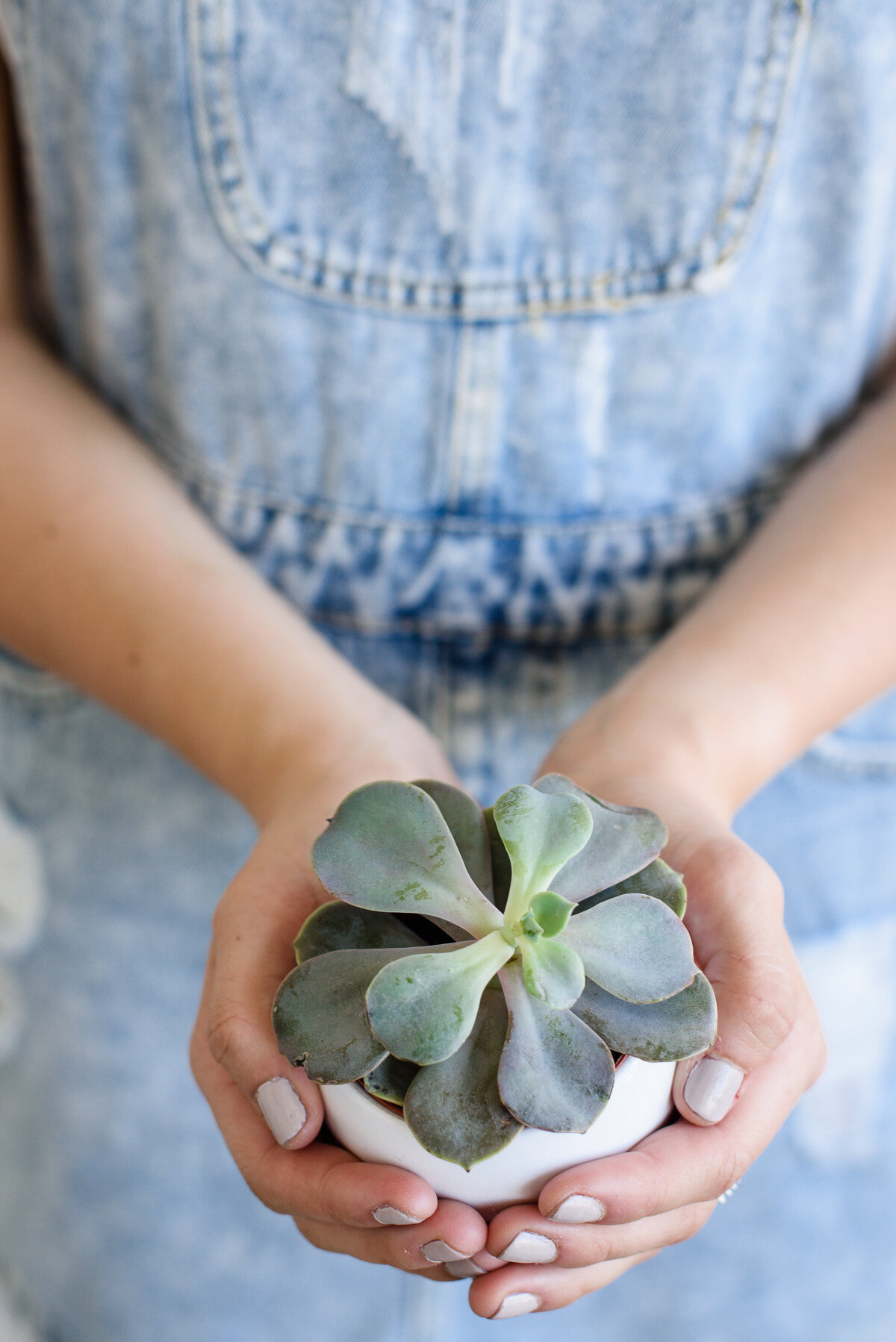 Branding photos of a closeup of a woman with jean overalls holding a succulent in a white pot.