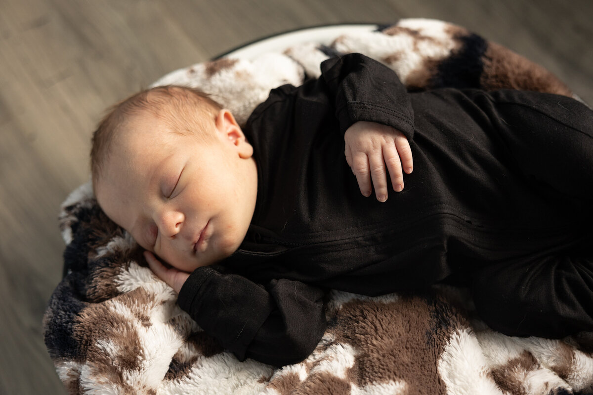 newborn session, alyssa michel photography, love, baby boy, baby girl, rustic, cow print, country, ct photogtspher