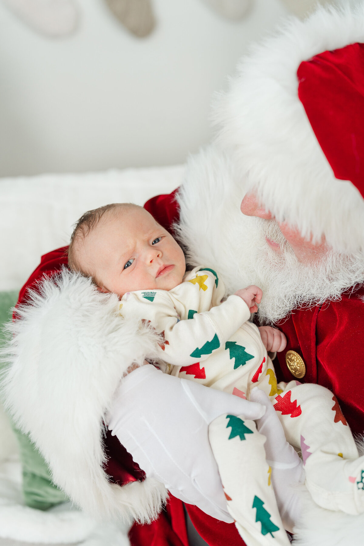 Santa Pictures Minneapolis_Yantes Photo_0150