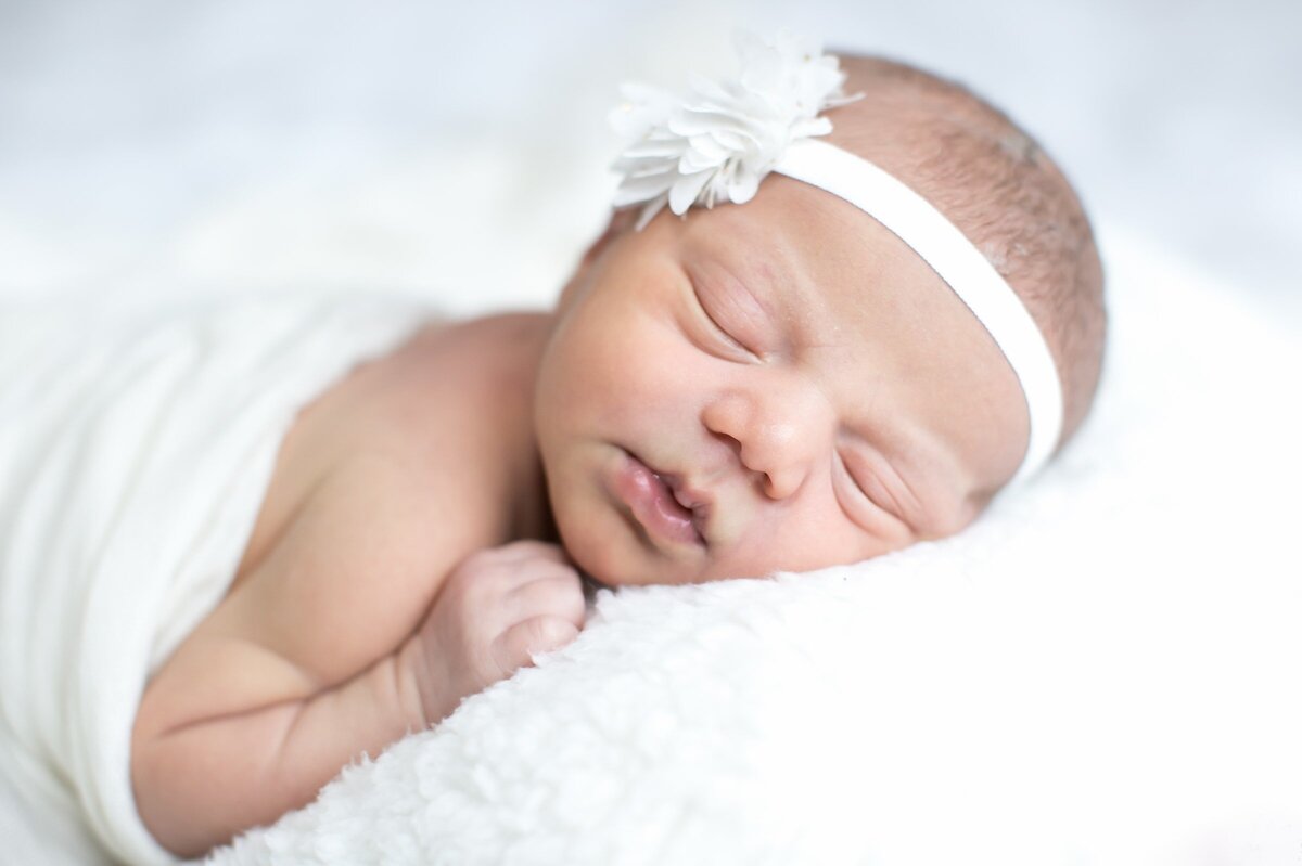 newborn-baby-photography-wake-forestJPG_1