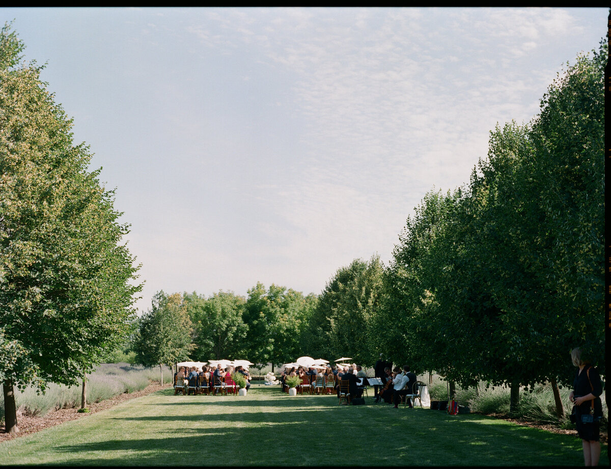 Film-151