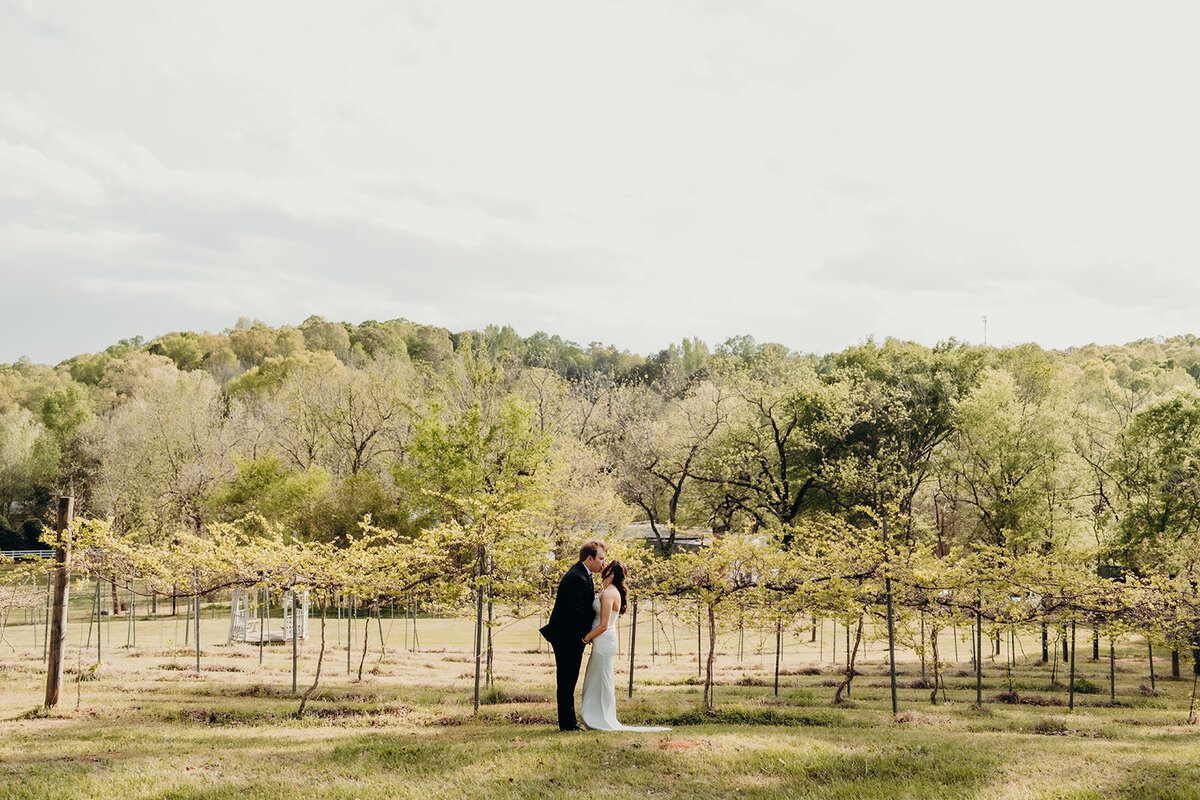 Wild society weddings 22