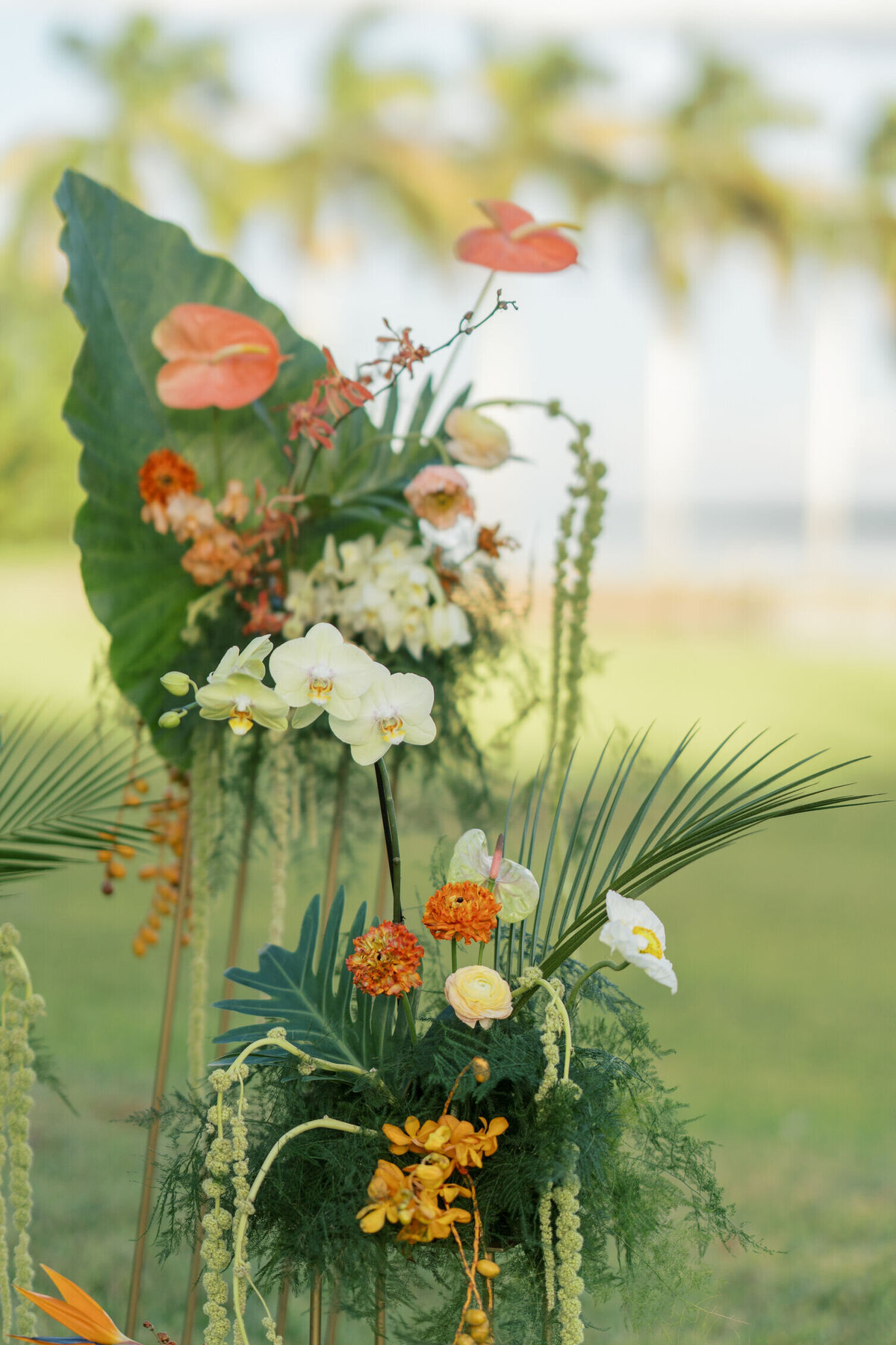 flower-arrangement-palm-1LD-W