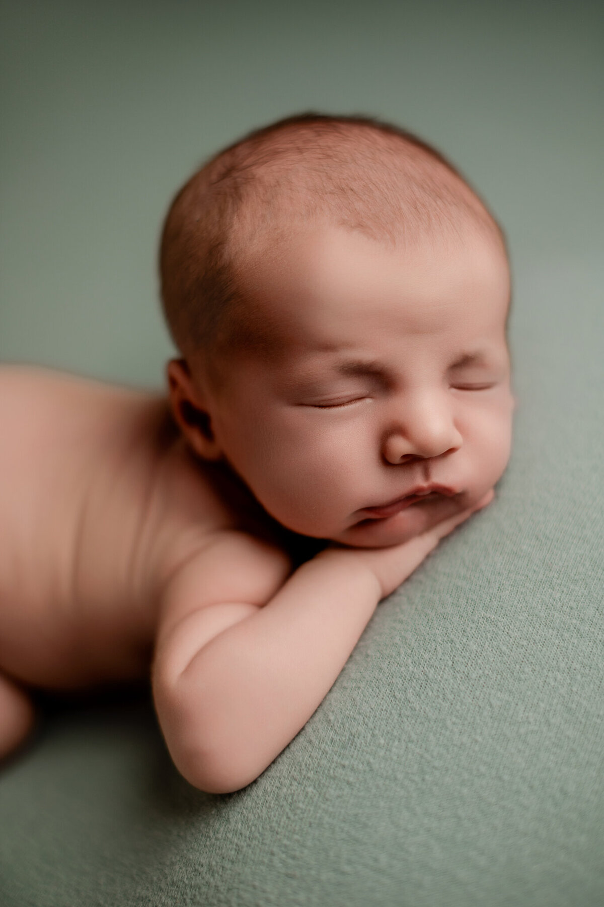 NWA newborn photographer, newborn portraits NW Arkansas
