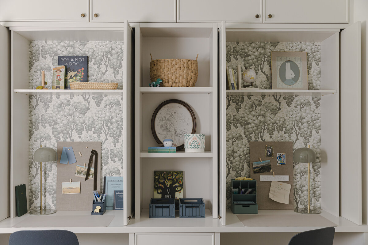 Living room bookshelves