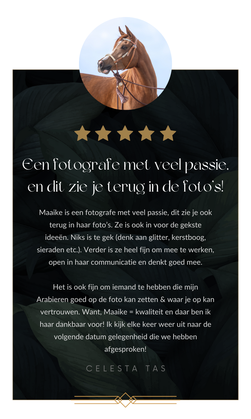 Celesta Tas review