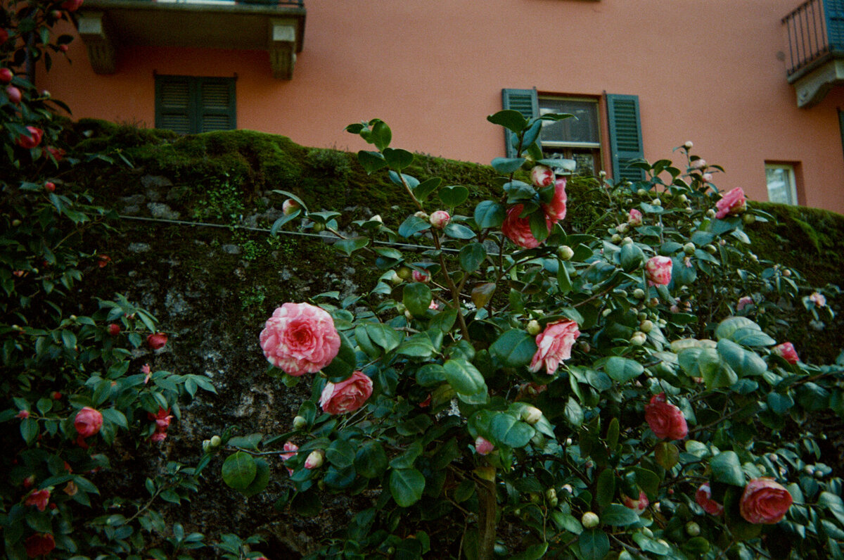 italy-film-photographer-melissa-wahler-9