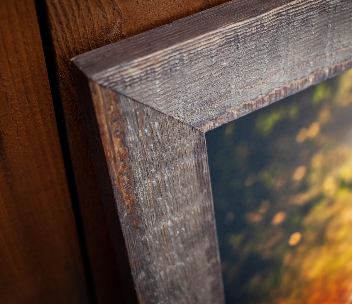Frame_06