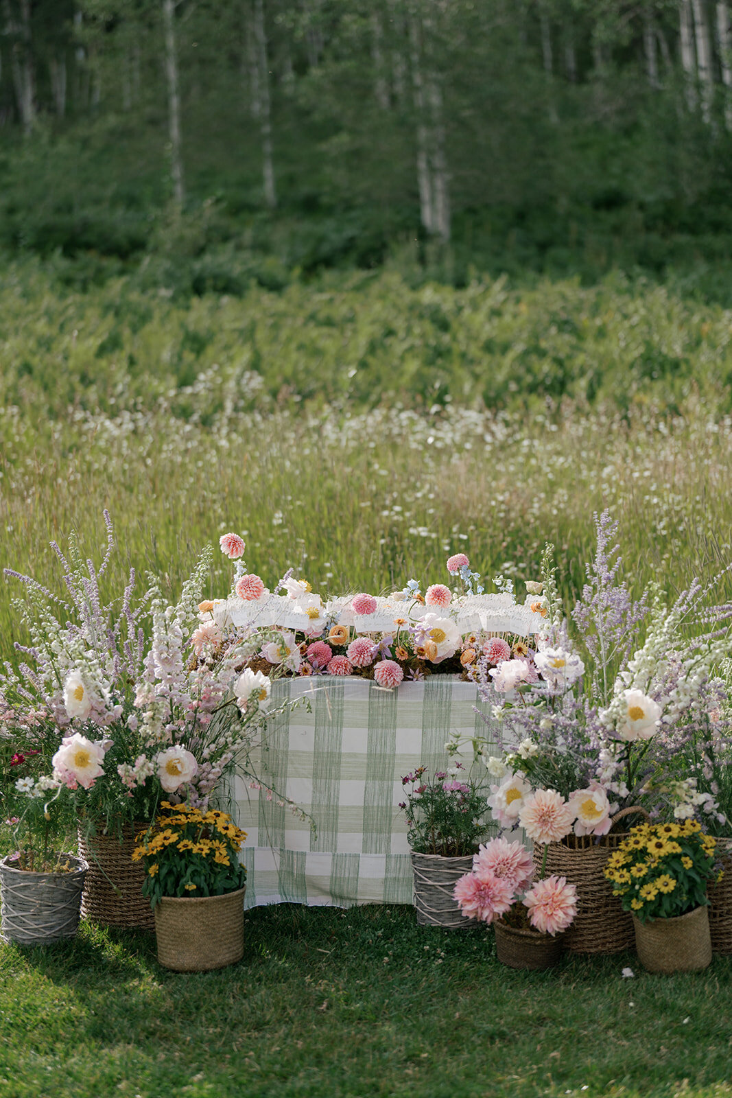 Beanos_Cabin_Colorado_Mountain_Wedding-381