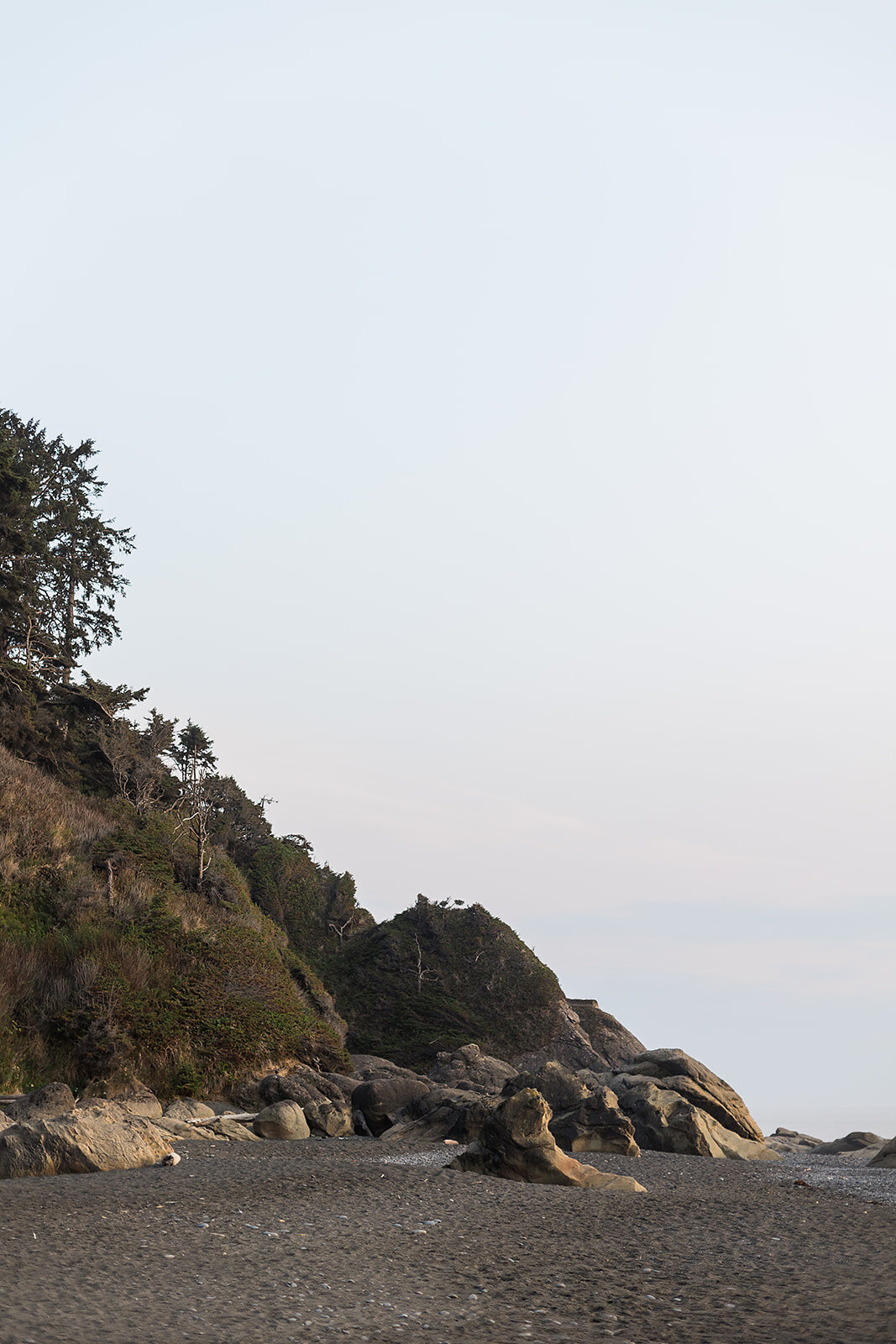 Olympic National Park Elopement  - Tara Nichole Photo - 2023 - Kyle and Keaton-181