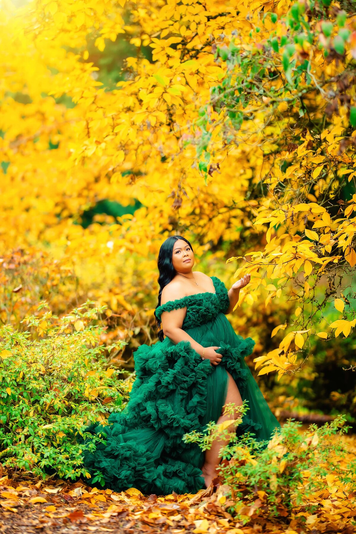 Fall Pregnancy Couture Luxury Maternity Seattle