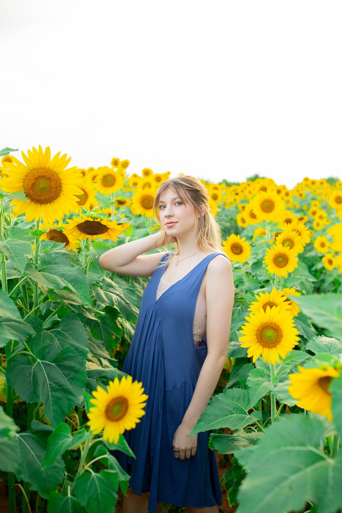 Fitzography_Whiteley_Sunflower(5of10)