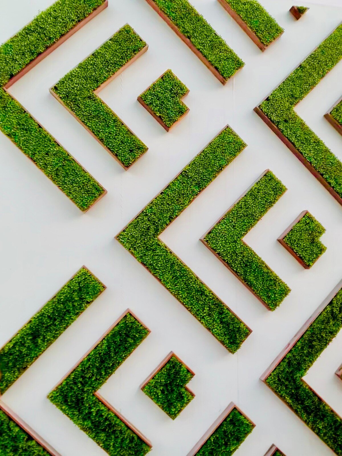 maze