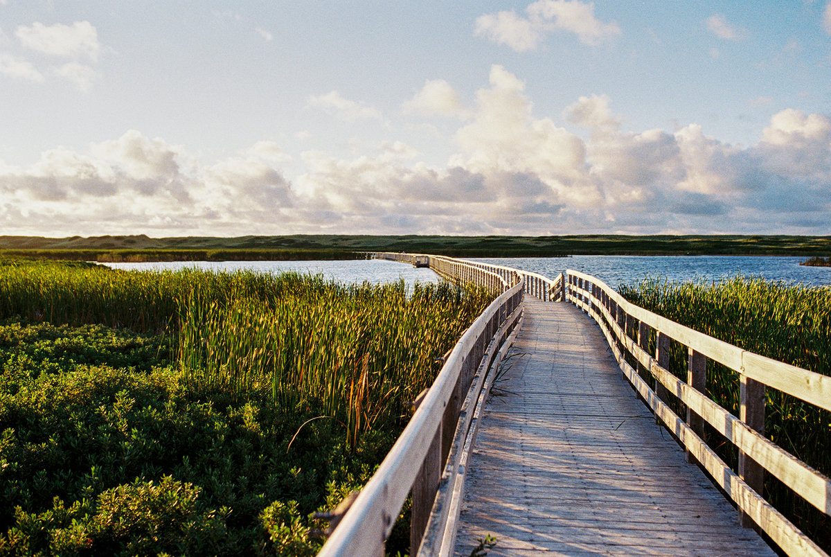 Prince Edward Island-295