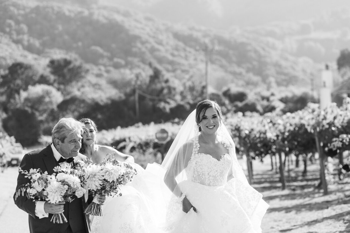 ©ags-photo-art-Jessica&Zach-Wedding-512