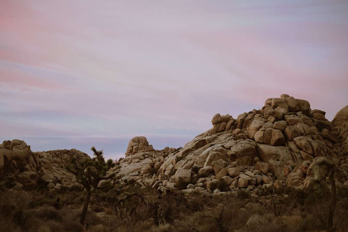 joshua tree styled shoot-53