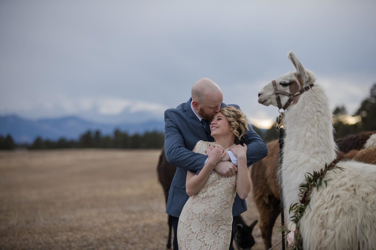 Llama Younger Ranch Styled Shoot KCP-1311
