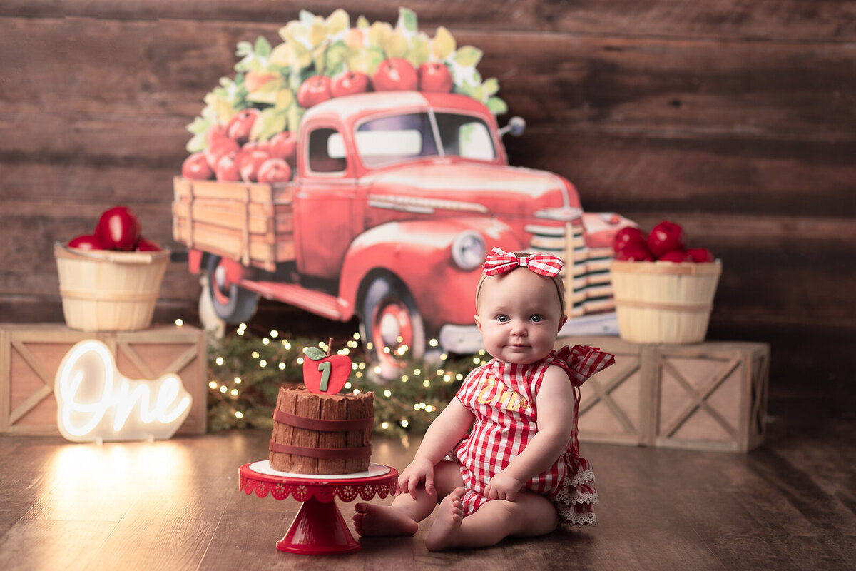 Columbus-Ohio-cake-smash-photographer-73