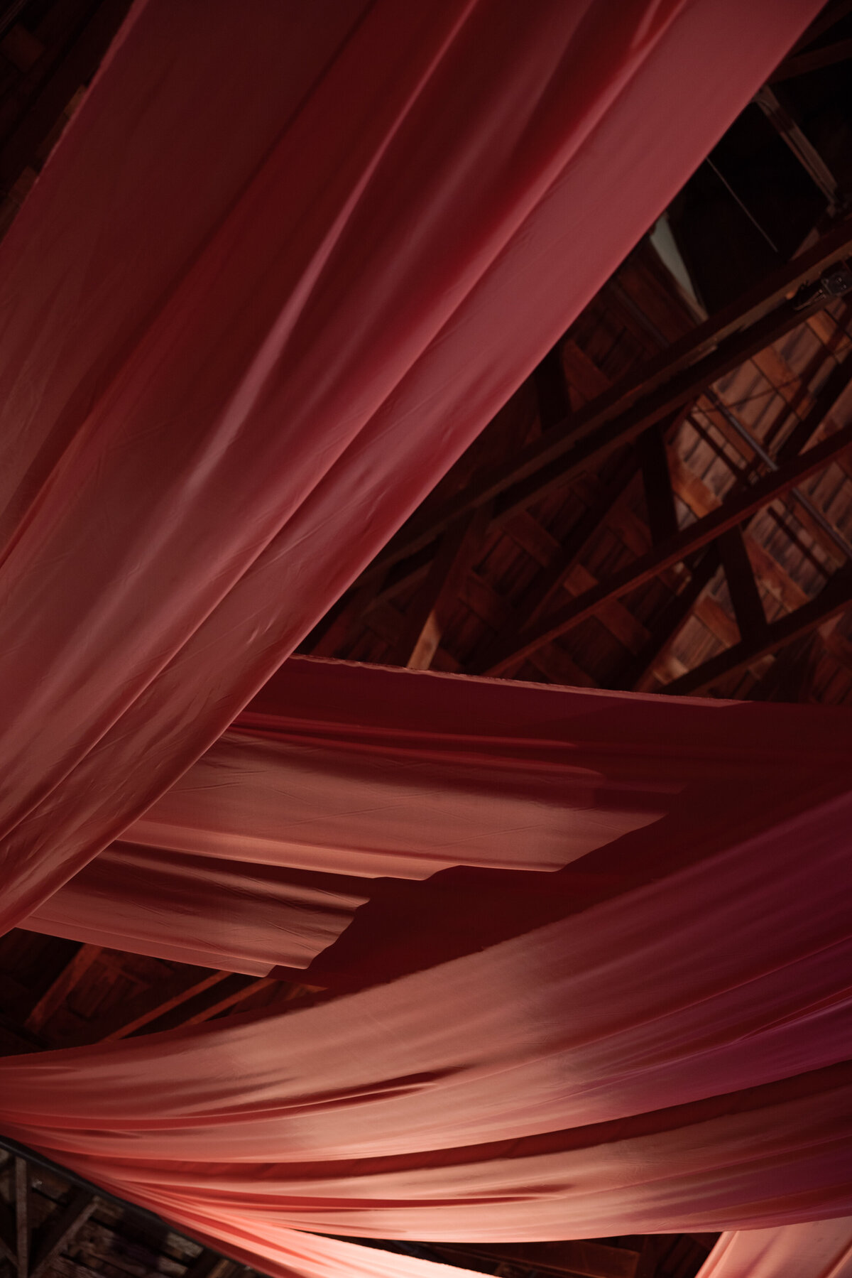 DT-2025-Kelcie&StevenPreview-119