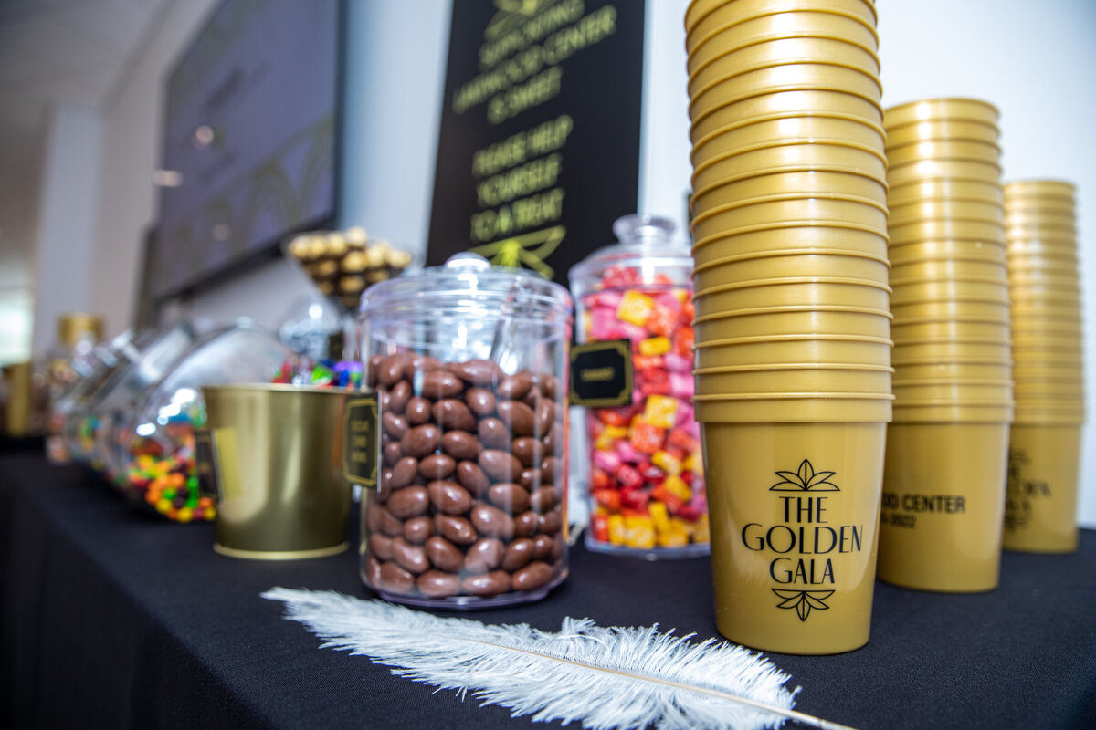Lakewood Center Gala by Party Perfect Lakewood Gala-1338