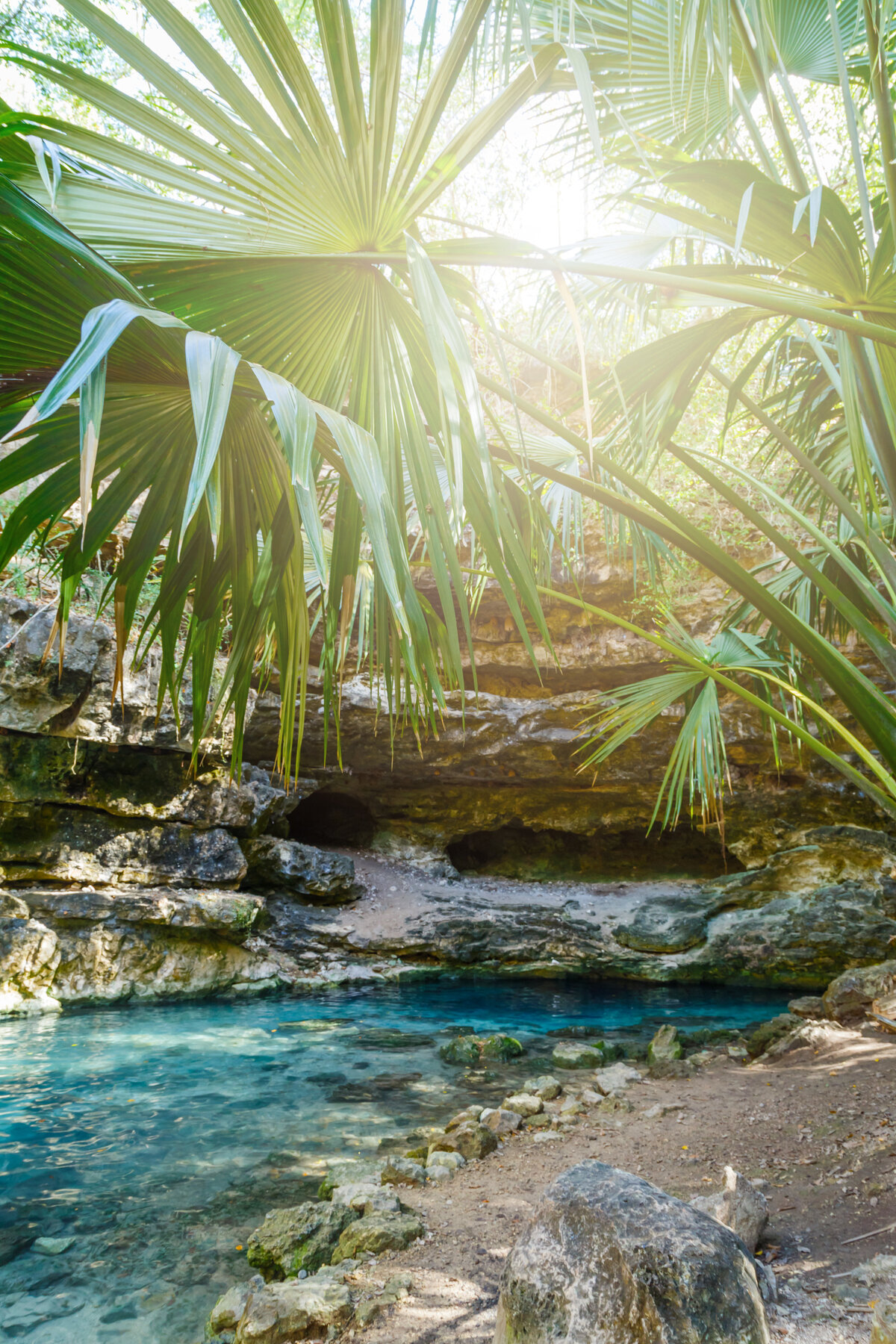 ETE_AdobeStock_207100611