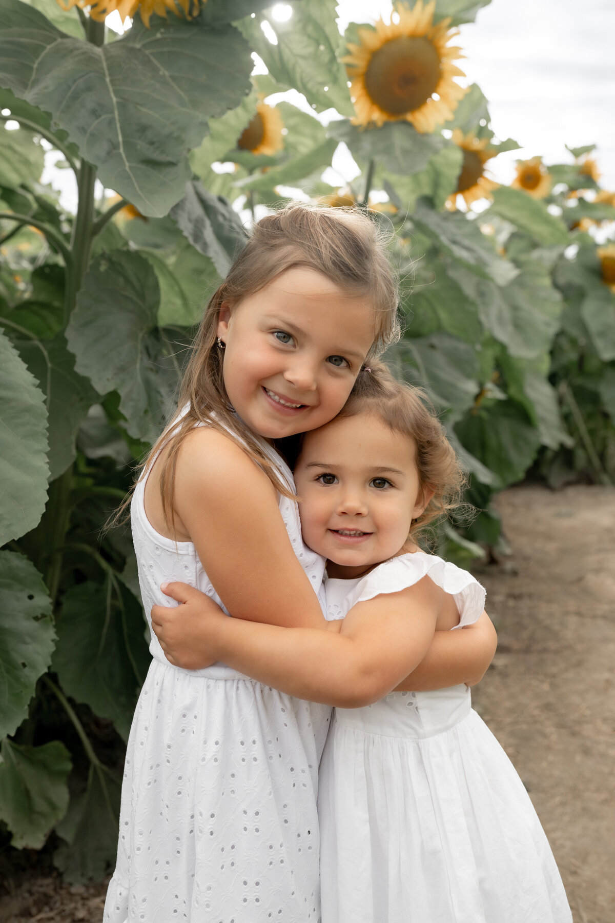 Sunflower Minis - Nadine-14