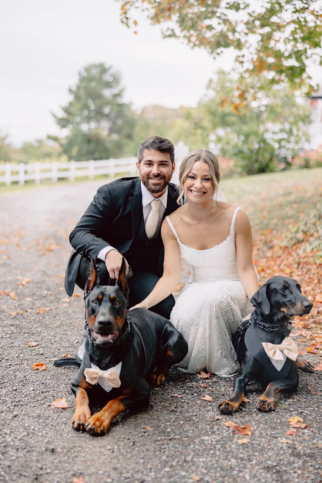 Bride and groom with dogs at Finger Lakes Wedding
