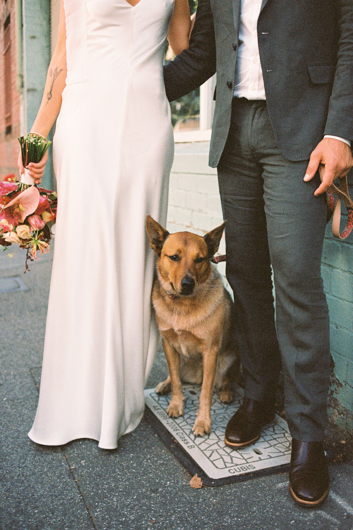 35mm film photo of couple and dog at Glasshaus Inside wedding, captured by Melbourne wedding photographer