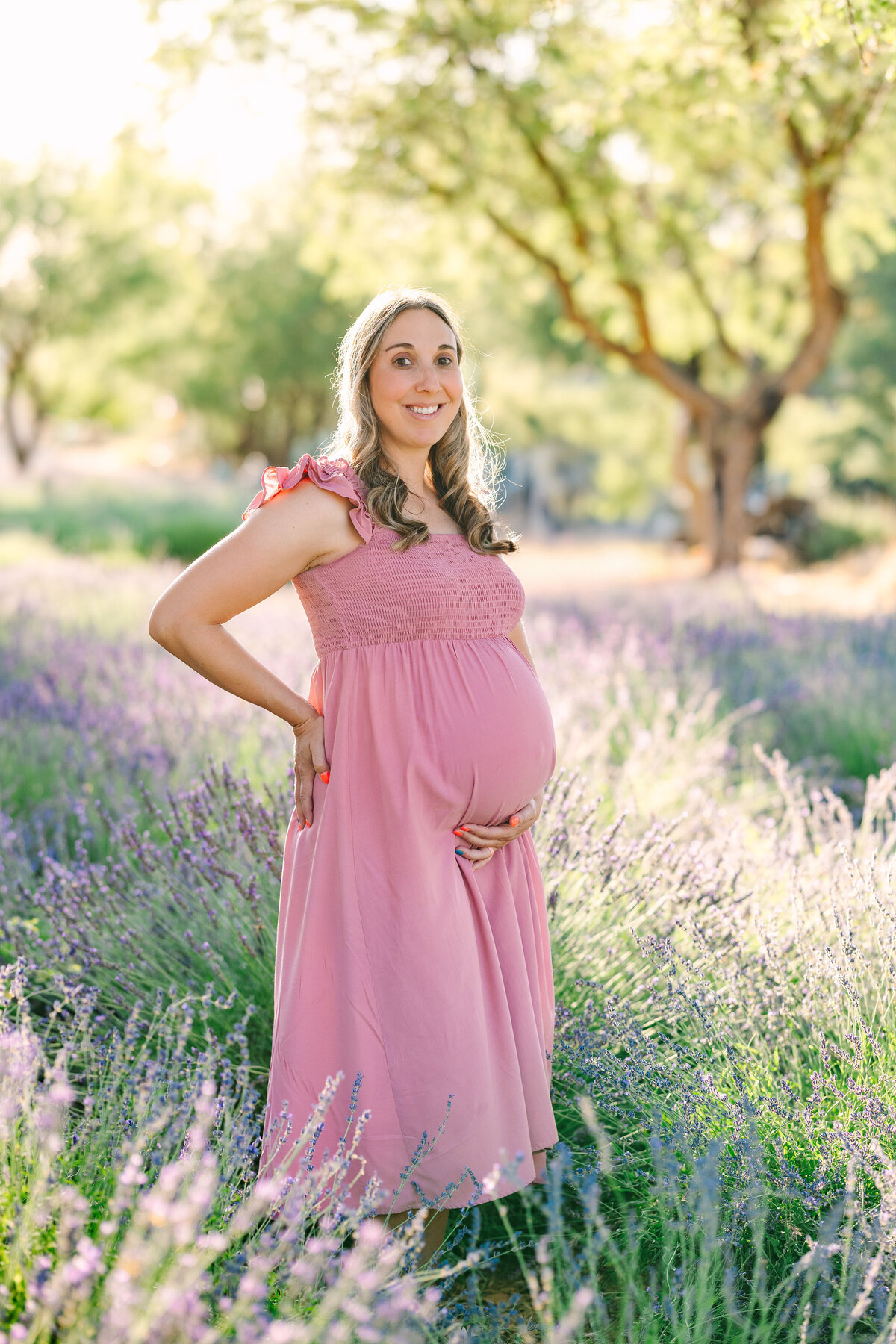 Lavender Minis 2025-2453