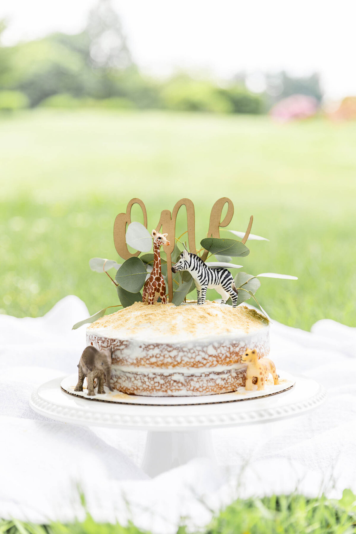 baby-first-birthday-cake-smash-photo-session-connecticut2