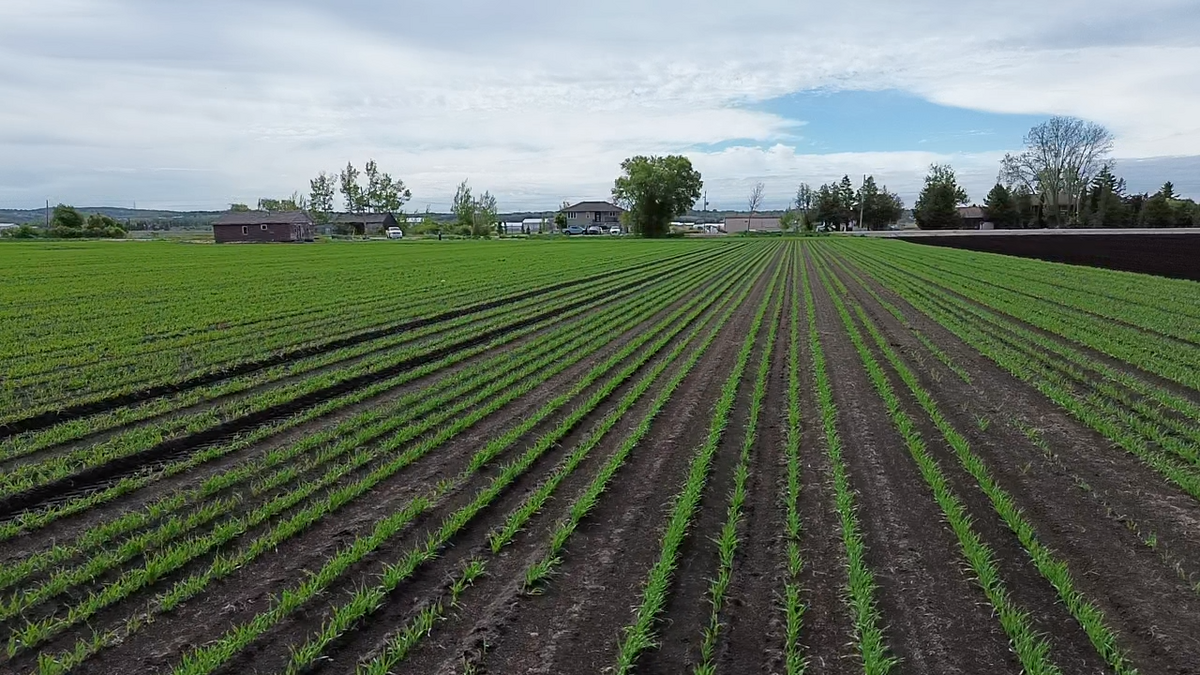 2025-05-28-10-52-02-095