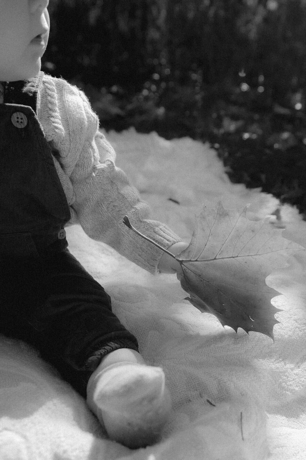 family-session-fall-baby-infant-springfield-illinois-rachael-marie-photography-103
