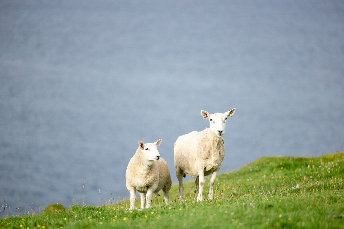 Brothers Point Scotland Elopement Wedding | Kelsie Elizabeth Photography 022