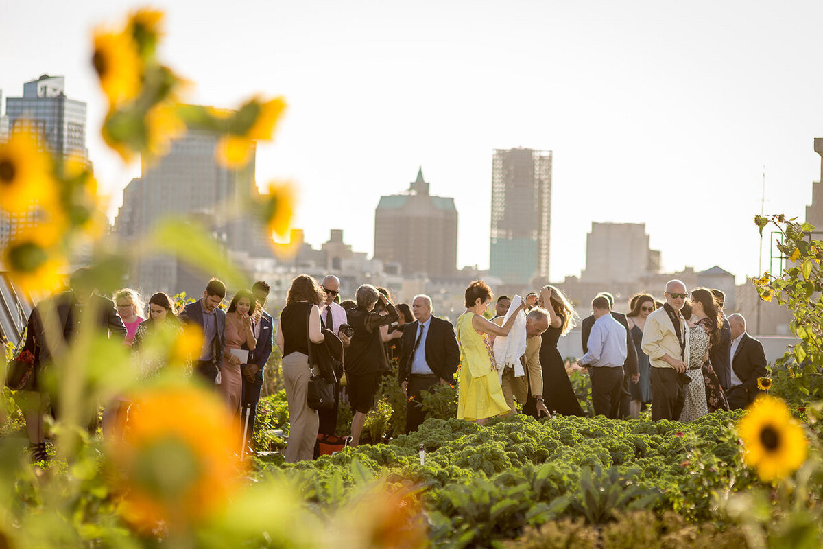 brooklyn grange wedding-27