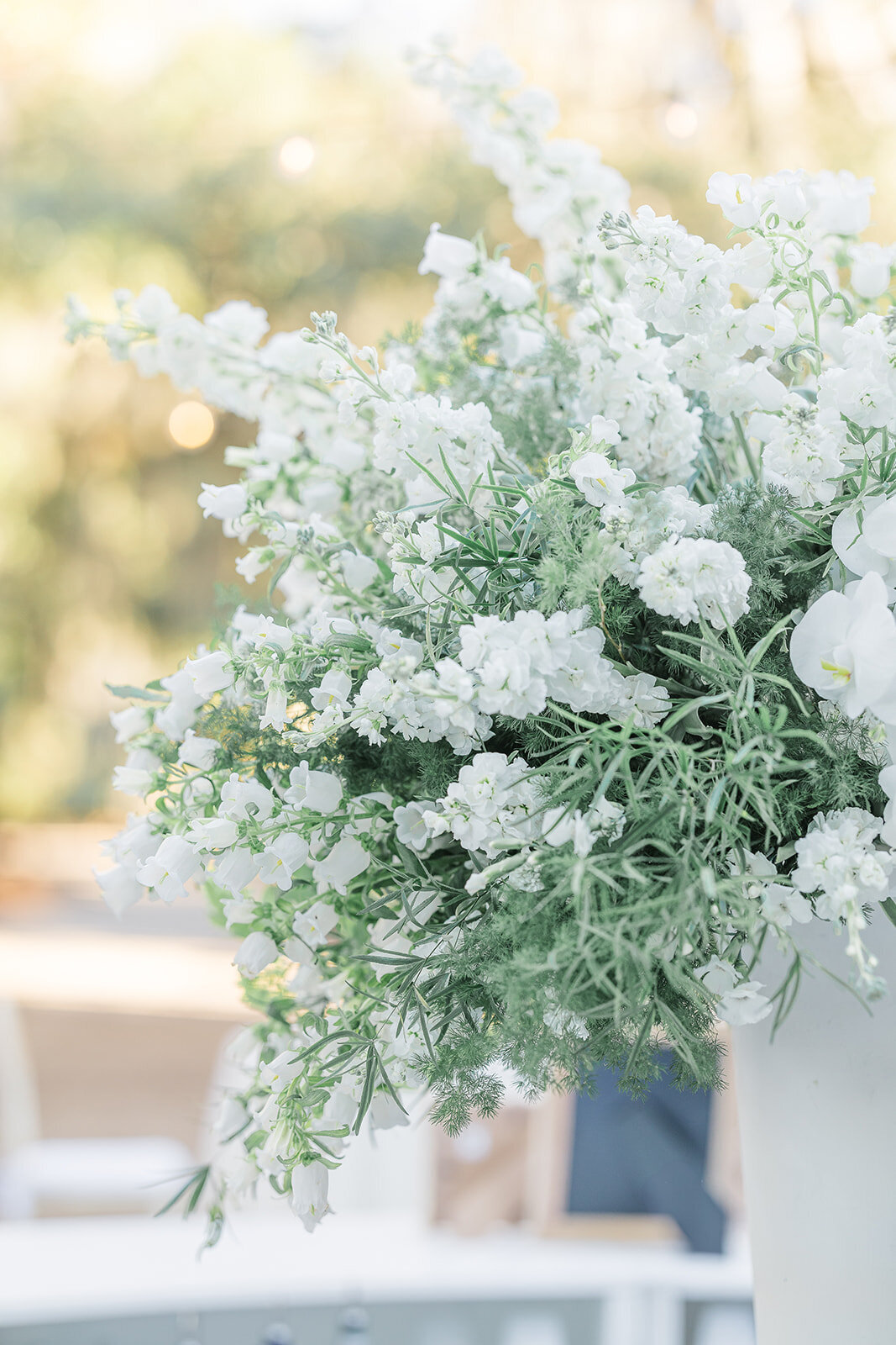Boone Hall-6879